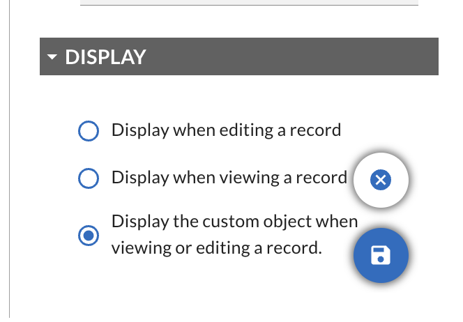 Custom Object Display Settings.png